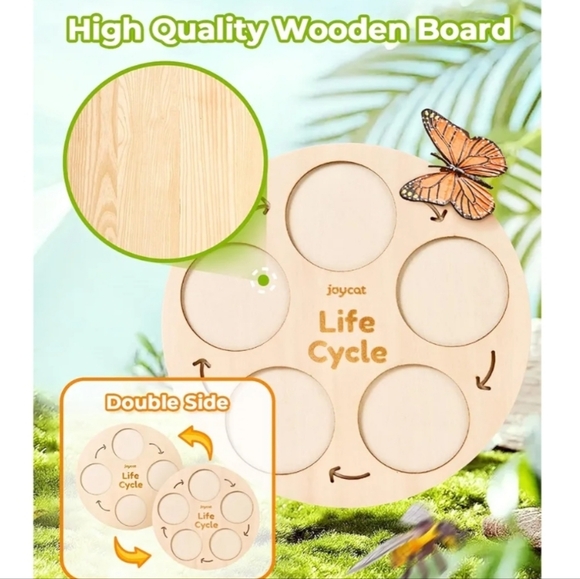 Life Cycle Learning Set - Multicolor - Picture 4 of 5